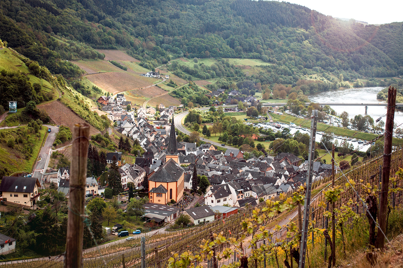 Fotografie für Weingut Löscher-Erben aus Senheim